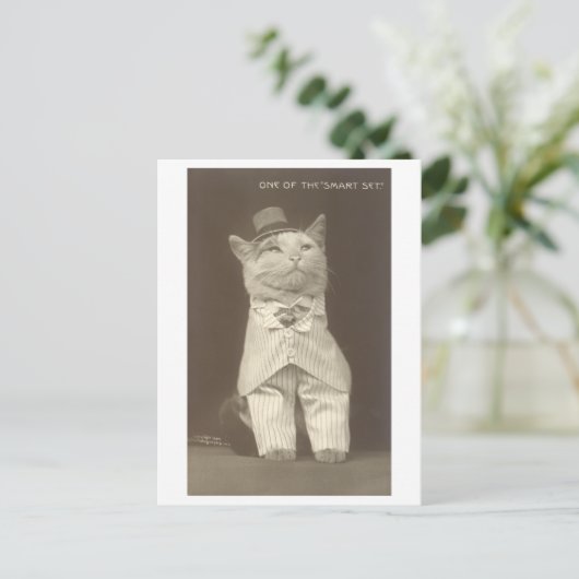 "Smart Set"  Aangeklede Kat Briefkaart (Staand voorkant)