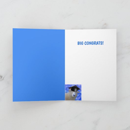 Smart Sheep Afstuderen Kaart (Binnen)