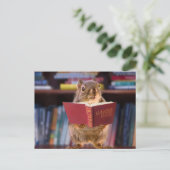 Smart Squirrel Een woordenboek lezen Briefkaart (Staand voorkant)