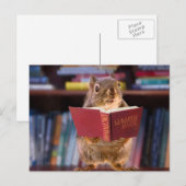 Smart Squirrel Een woordenboek lezen Briefkaart (Voorkant / Achterkant)
