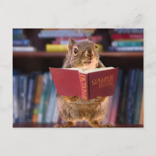 Smart Squirrel Een woordenboek lezen Briefkaart