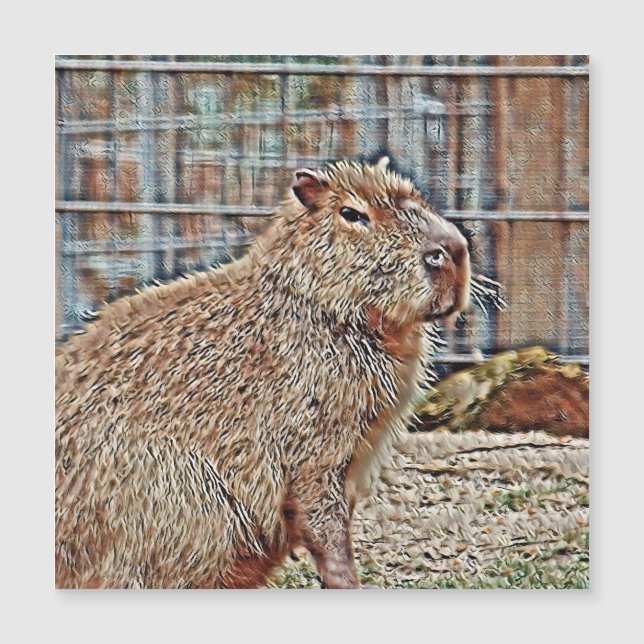 SmartMix Animal - Capybara (Voorkant)