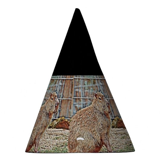 SmartMix Animal - Capybara Feesthoedjes (Rechts)