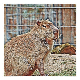 SmartMix Animal - Capybara Foto Afdruk