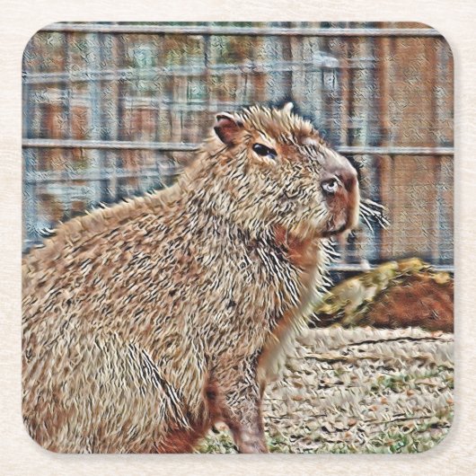 SmartMix Animal - Capybara Kartonnen Onderzetters (Voorkant)