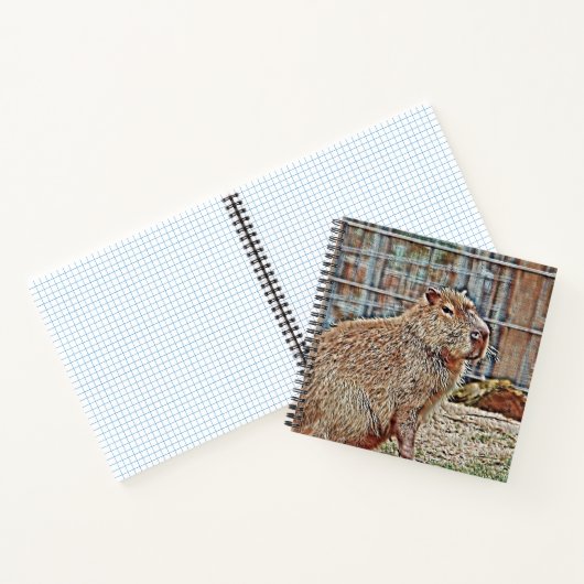 SmartMix Animal - Capybara Notitieboek (Binnen)
