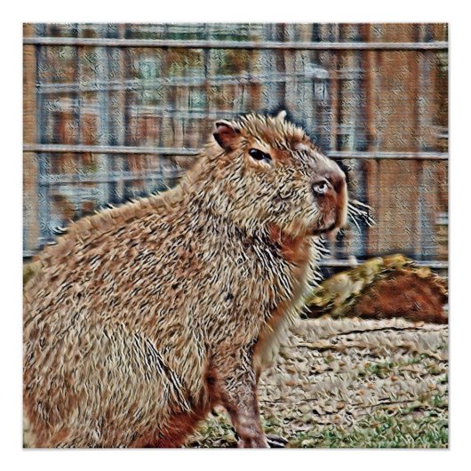 SmartMix Animal - Capybara Perfect Poster (Voorkant)