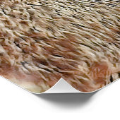 SmartMix Animal - Capybara Perfect Poster (Hoek)