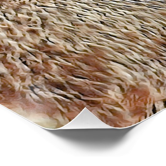 SmartMix Animal - Capybara Perfect Poster (Hoek)