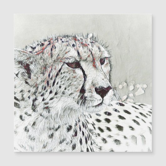 smartmix animal-cheetah (Voorkant)