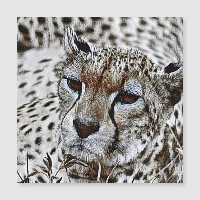 SmartMix Animal - Cheetah 2 (Voorkant)