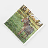 smartmix animal - donkey 1 servet (Hoek)