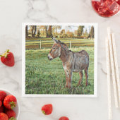 smartmix animal - donkey 1 servet (Insitu)