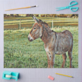 smartmix animal - donkey 1 tissuepapier (Craft)