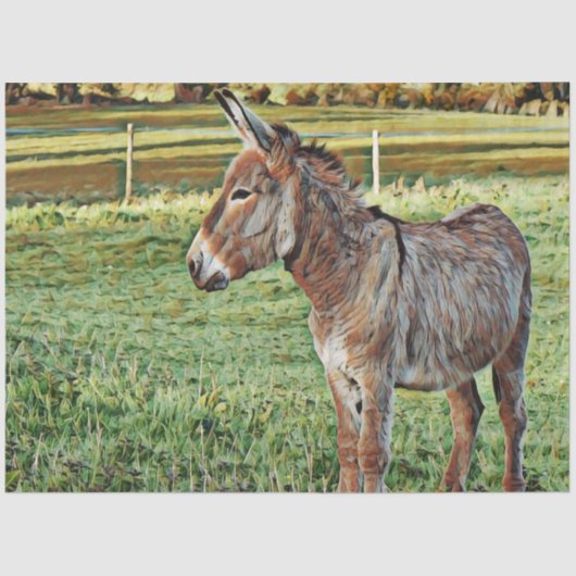 smartmix animal - donkey 1 tissuepapier (Voorkant)
