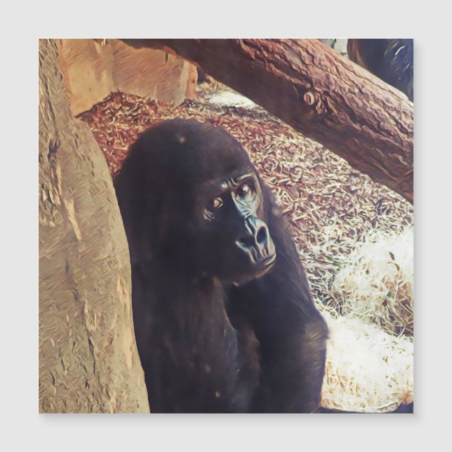 SmartMix Animal-Gorilla (Voorkant)