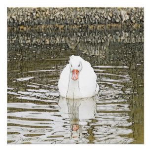 SmartMix Animal - Swan Perfect Poster