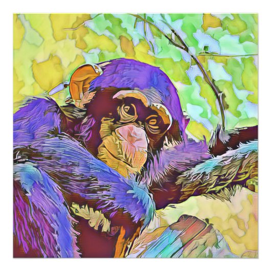 smartmix dier - chimpansee 3 foto afdruk (Voorkant)