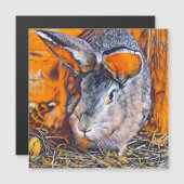 smartmix dier- konijn (Voorkant / Achterkant)