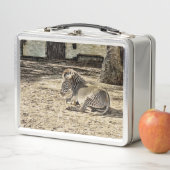 smartmix-dier - zebra (In situ)