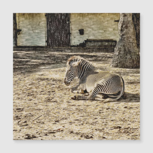 smartmix-dier - zebra
