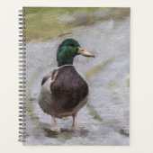 SmartMix Duck 1220 Planner (Voorkant)