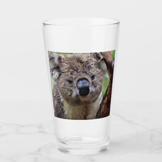 SmartMix Koala 1220 Glas (Voorkant)