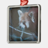 SmartMix Red Panda 1220 Metalen Ornament (Links)