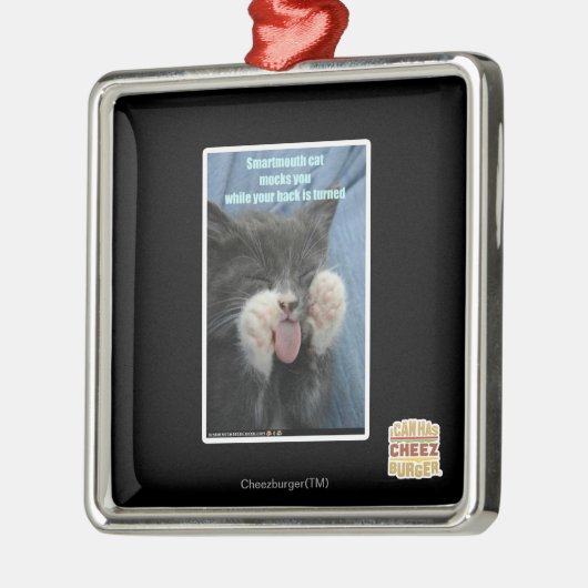 Smartmouth cat metalen ornament (Links)