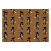 Smartste rat in de stad (Voorkant Horizontaal)