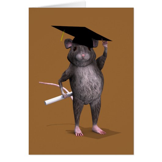 Smartste rat in de stad (Voorkant)