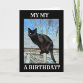 *SMARTY PANTS BLACK CAT** BIRTHDAY KAART (Voorkant)