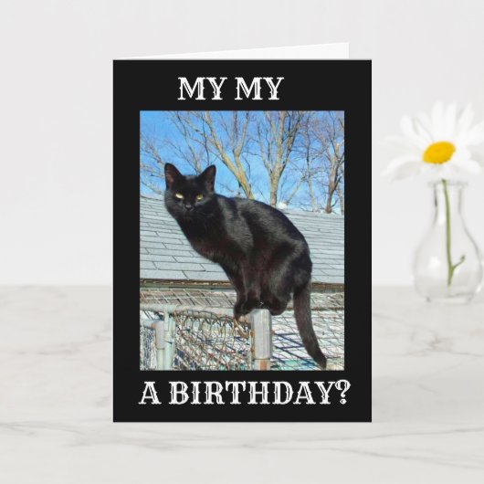 *SMARTY PANTS BLACK CAT** BIRTHDAY KAART (Kleine Plant)
