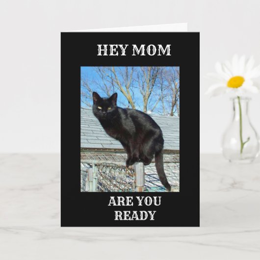 *SMARTY PANTS BLACK CAT VOOR MOM'S** BIRTHDAY KAAR KAART (Kleine Plant)