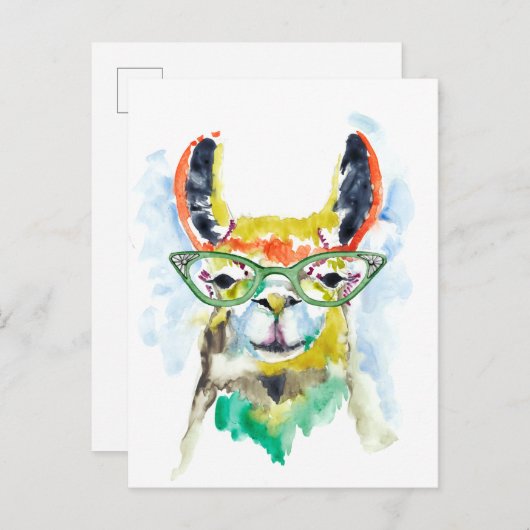 Smarty-Pants Llama Briefkaart (Voorkant / Achterkant)