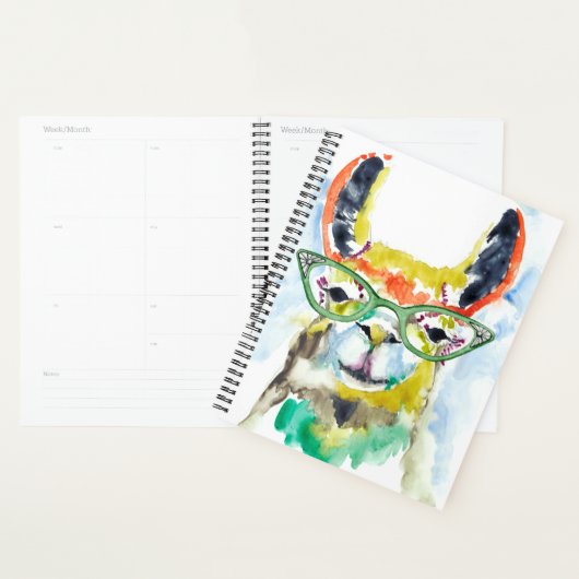 Smarty-Pants Llama Planner (Display)