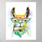 Smarty-Pants Llama Poster (Voorkant)