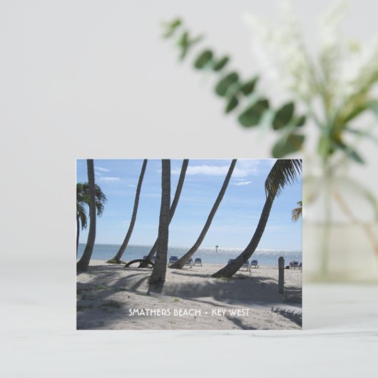 Smathers Beach, Key West, Florida Briefkaart (Staand voorkant)