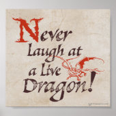 SMAUG™ - Nooit lachen bij een live draak Poster (Voorkant)