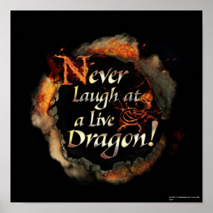 SMAUG™ - Nooit Logo grafisch lachen Poster