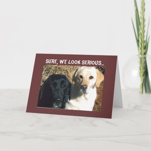 SMEEK OM SNEL SNACKS WELWIJDEN KAART (Voorkant)