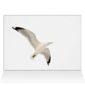 Smeermeeuw (Binnen Horizontaal (Boven))