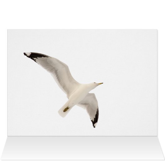 Smeermeeuw (Binnen Horizontaal (Boven))