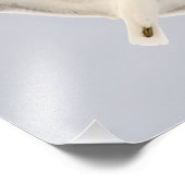 Smeermeeuw Foto Afdruk (Hoek)