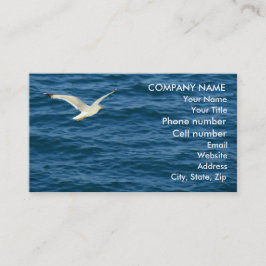 Smeeuw in de lucht boven water visitekaartje