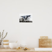 Smeeuw in het Poster (Keuken)