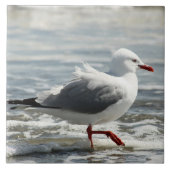 Smeeuw nat tegeltje (Voorkant)