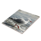 Smeeuw nat tegeltje (Zijkant)