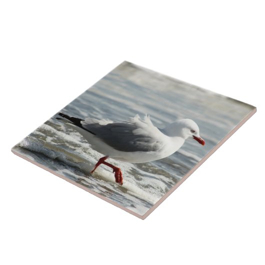 Smeeuw nat tegeltje (Zijkant)