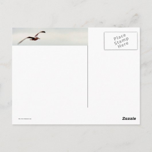 Smeeuw over de golven briefkaart (Achterkant)